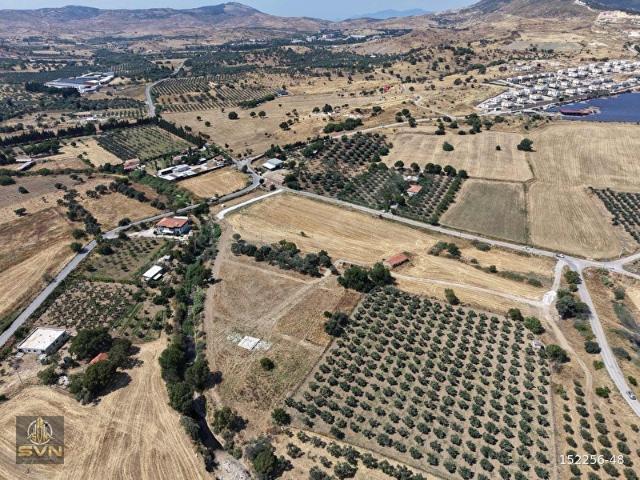 Foça, İzmir içerisinde satılık Arsa
