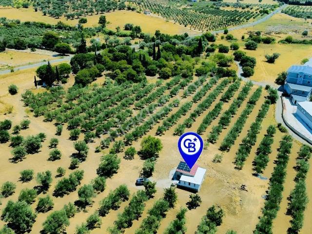 Foça, İzmir içerisinde kiralık Villa