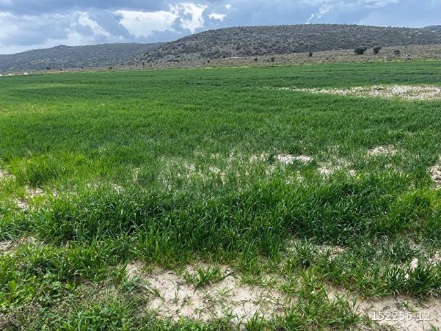 Yenibağarası Mahallesi, Foça içerisinde satılık Arsa