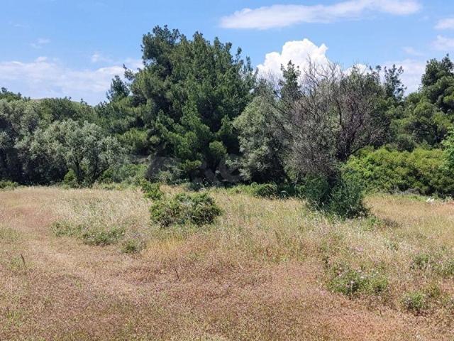 Foça, İzmir içerisinde satılık mülk