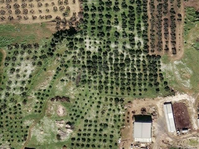 Foça, İzmir içerisinde satılık Arsa