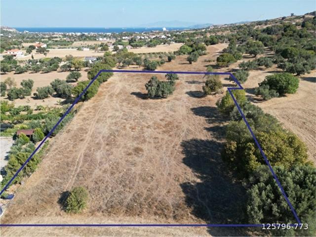 Foça, İzmir içerisinde satılık Arsa