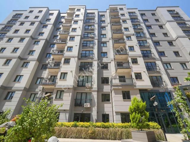 Pendik, İstanbul içerisinde kiralık mülk
