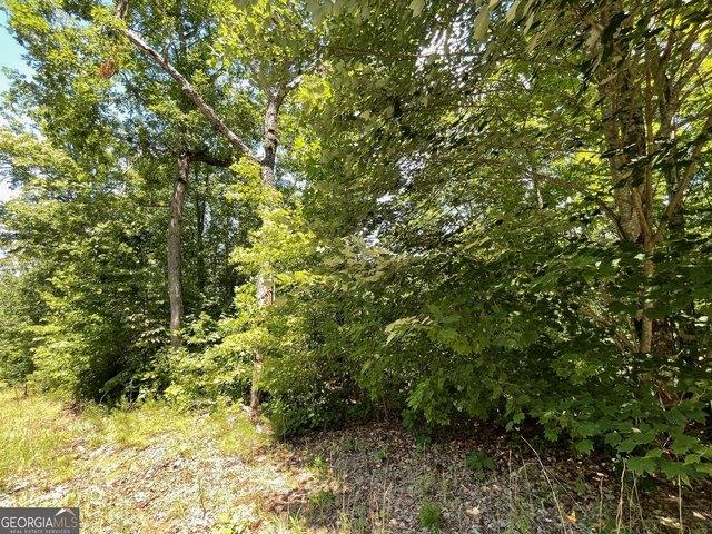 Land for sale in Hiawassee, Georgia