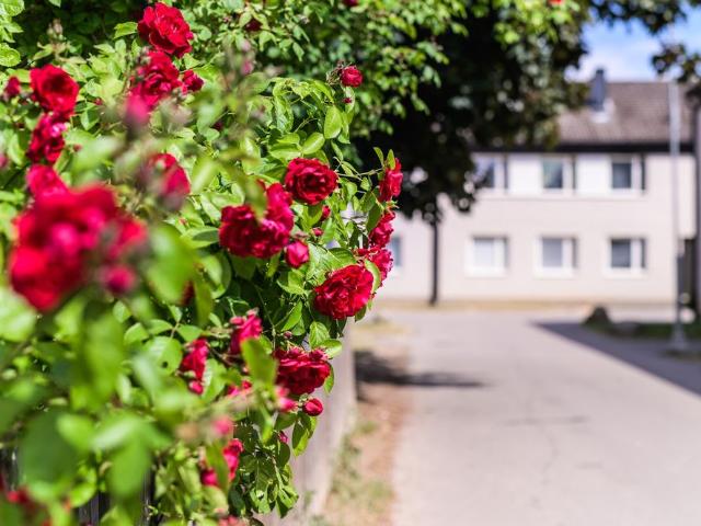 Lägenhet hyra i Linköping, Östergötland