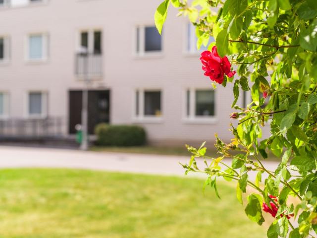 Lägenhet hyra i Linköping, Östergötland