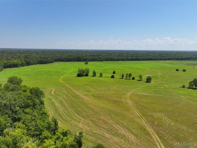 Land for sale in Cecil, Alabama