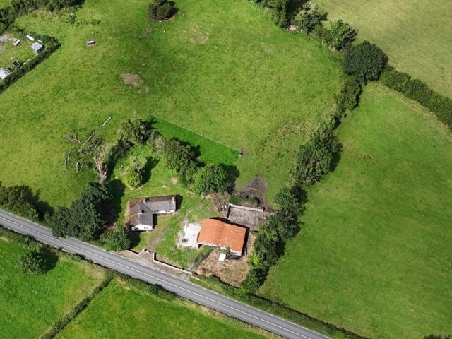 Farm for sale in Longford