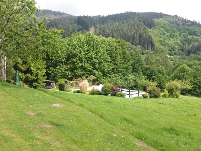 Château vente à Foix