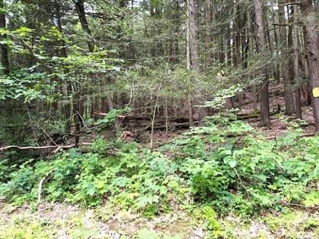 Land for sale in Binghamton, New York