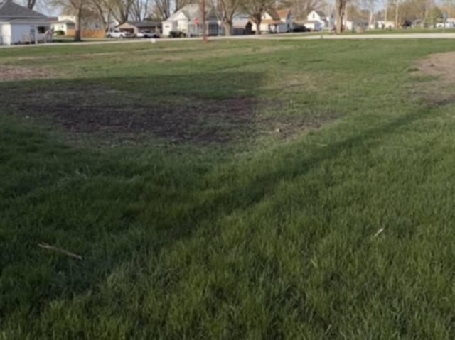 Land for sale in Duncombe, Iowa