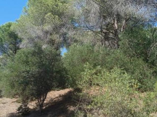 Terreno in vendita a Follonica, Toscana