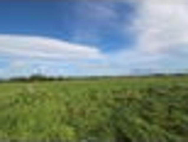 Land for sale in Tararua District