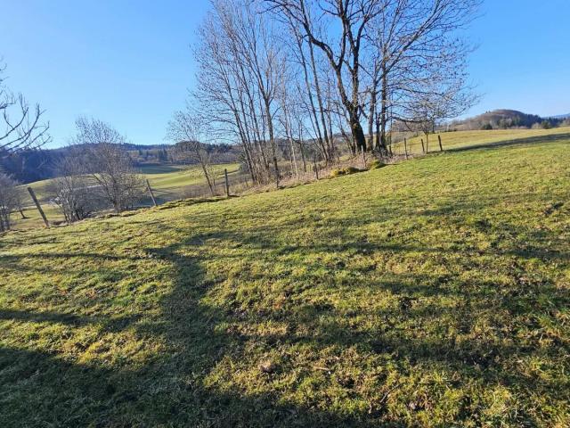 Terrain vente à Lons-le-Saunier, Foncine-le-haut