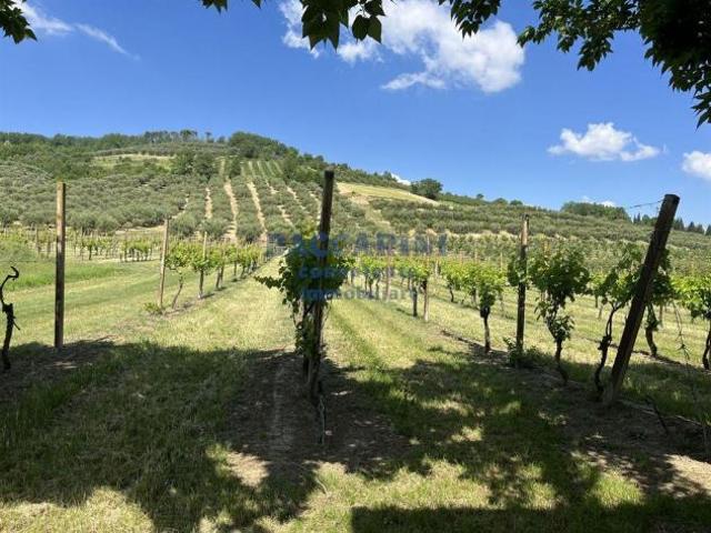 Terreno in vendita a Unione della Romagna Faentina, Brisighella