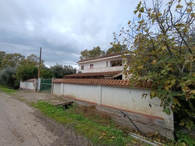 Terreno in vendita a Bernalda, Basilicata
