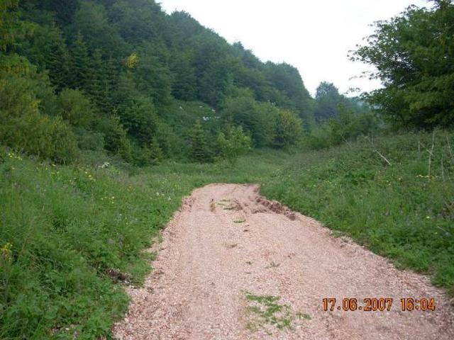 Terreno in vendita a Posina, Veneto