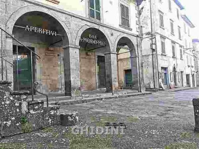 Locale Commerciale in affitto a Unione dei Comuni Montani Amiata Grossetana, Santa Fiora
