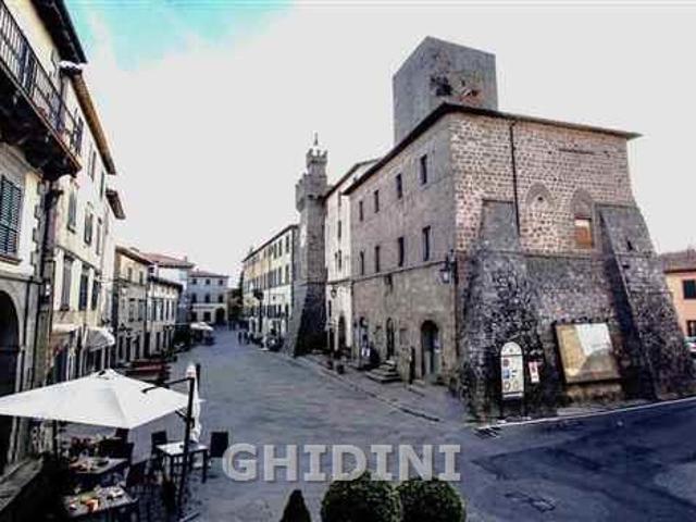 Locale Commerciale in affitto a Unione dei Comuni Montani Amiata Grossetana, Santa Fiora
