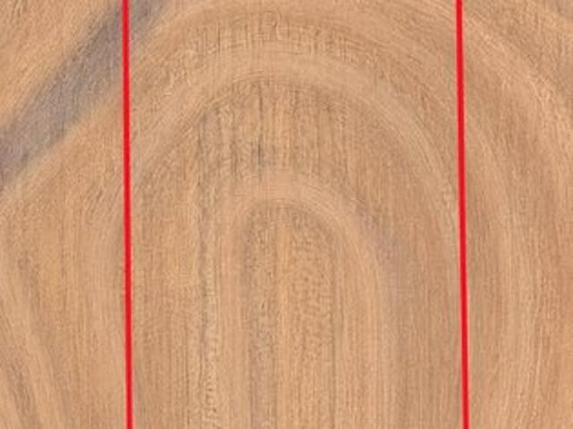 Land for sale in Slocomb, Geneva County