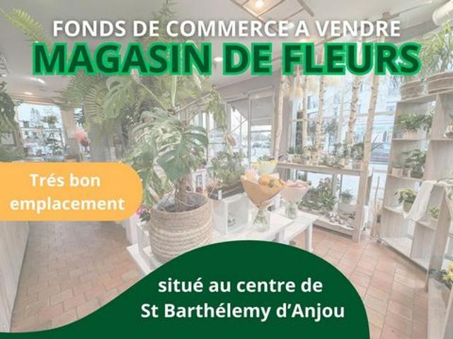 Local Commercial vente à Angers, Saint-barthélemy-d'anjou