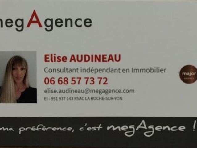 Local Commercial vente à Les Sables-d'Olonne, Château-d'olonne