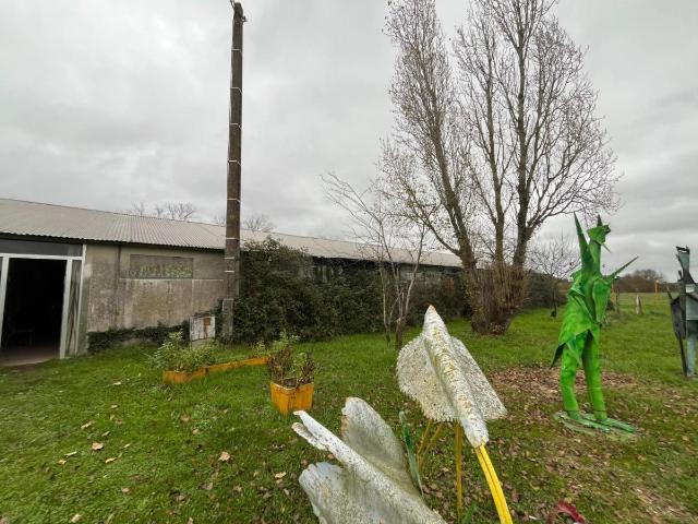 Local Commercial vente à Chinon, Parçay-sur-vienne