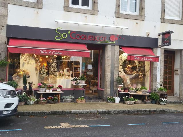 Local Commercial vente à Morlaix, Bretagne