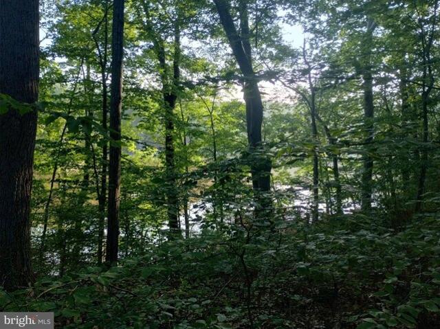 Land for sale in Manassas