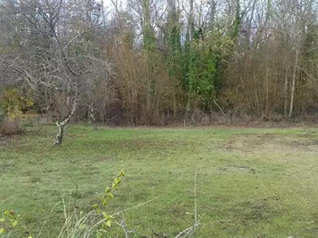 Terrain vente à Fontainebleau