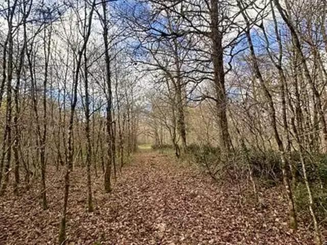 Terrain vente à Blois, Fontaines-en-sologne