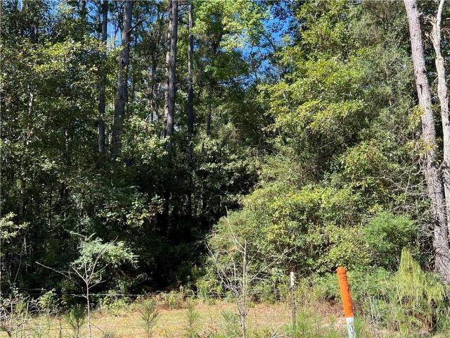 Land for sale in Independence, Louisiana