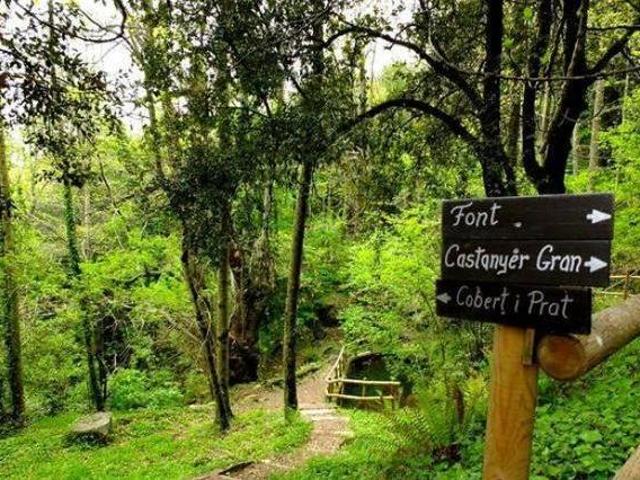Casa en alquiler en la Selva, Catalunya