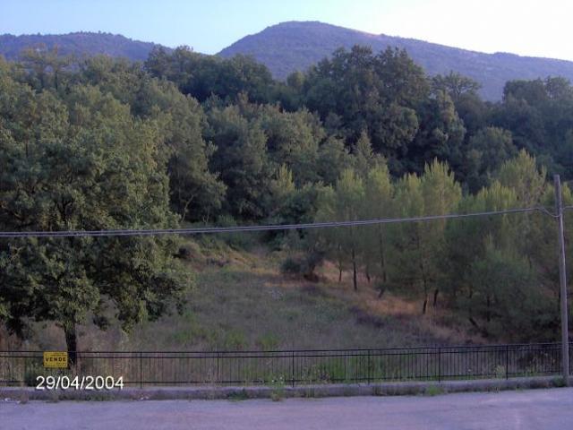 Terreno in vendita a Roccadaspide, Campania