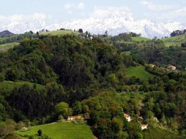 Casa en alquiler en Villaviciosa, Asturias