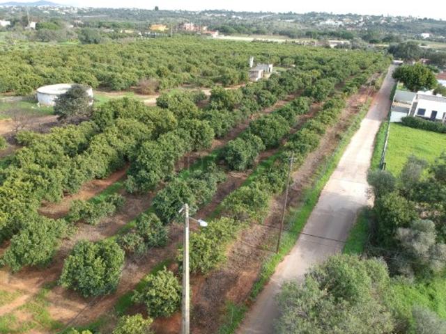 Terreno venda em Semino, Loulé