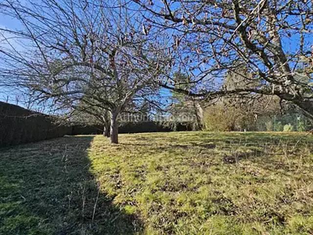Terrain vente à Palaiseau, Fontenay-lès-briis