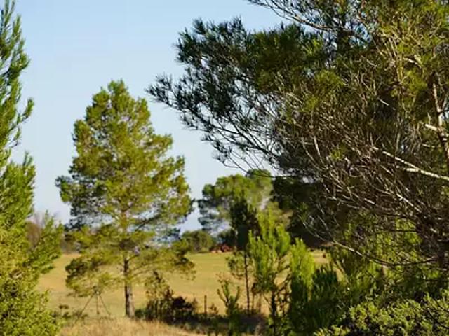 Terrain vente à Narbonne, Fontjoncouse