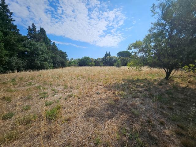 Terrain vente à Arles, Fontvieille