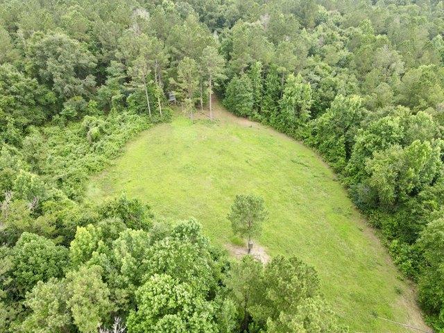 Land for sale in Jackson, Alabama