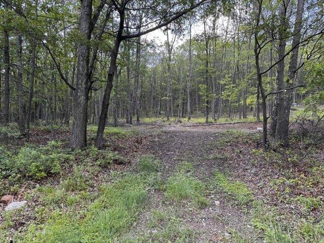 Land for sale in Effort