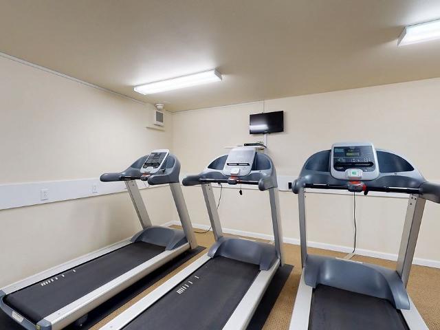 Apartment for rent in Bellevue, Washington