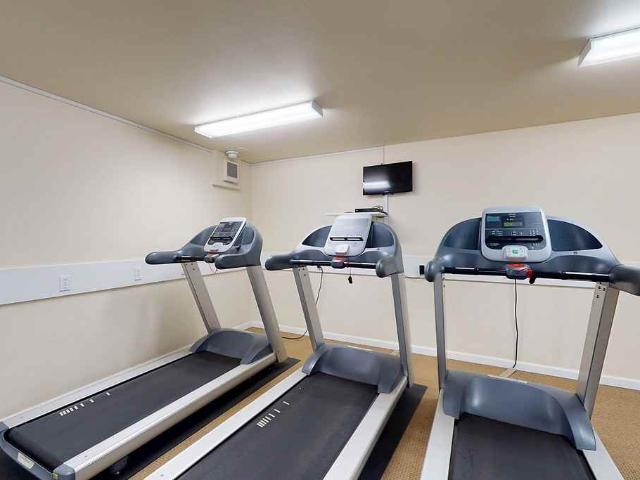 Apartment for rent in Bellevue, Washington