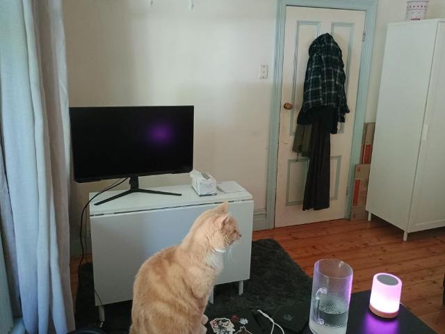 Room for rent in Footscray, Melbourne