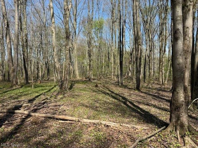 Land for sale in Jefferson, Ohio