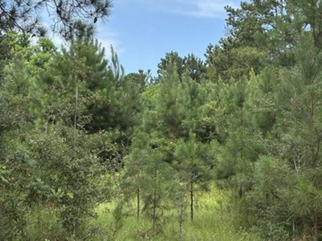 Land for sale in Andalusia, Alabama