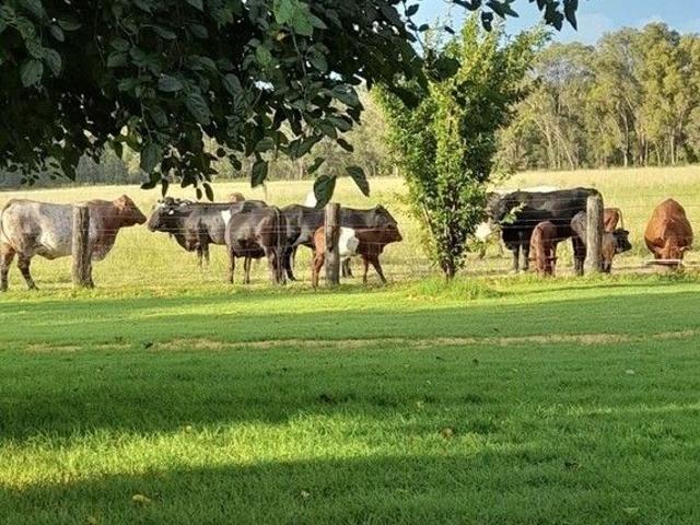 Cottage for sale in Baradine, New South Wales