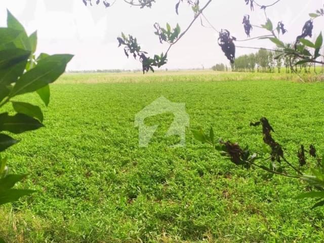 Land for sale in Faisalabad, Islamabad Capital Territory