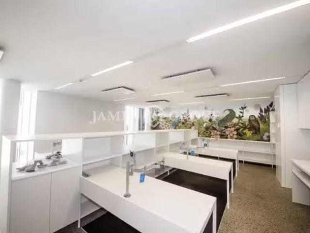 House for rent in Parnell