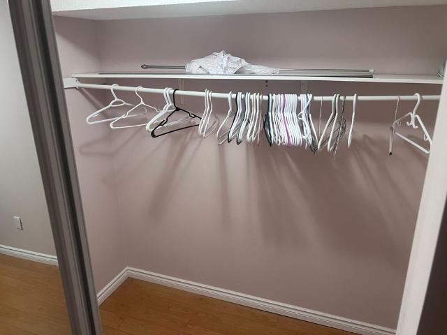 House for rent in Woburn, Ontario